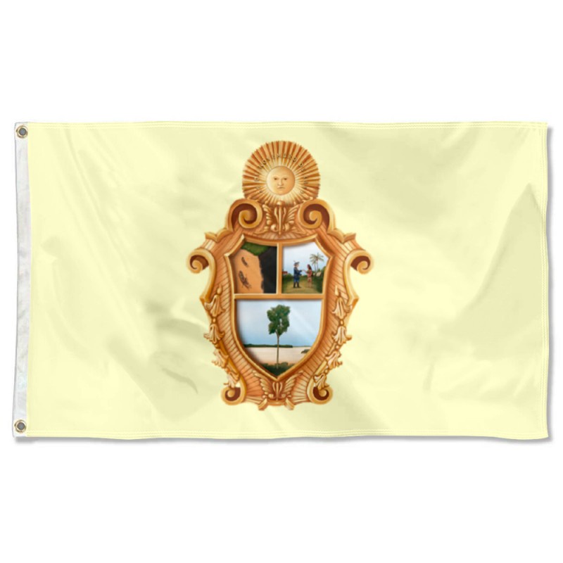 Bandeira De Manaus Flag