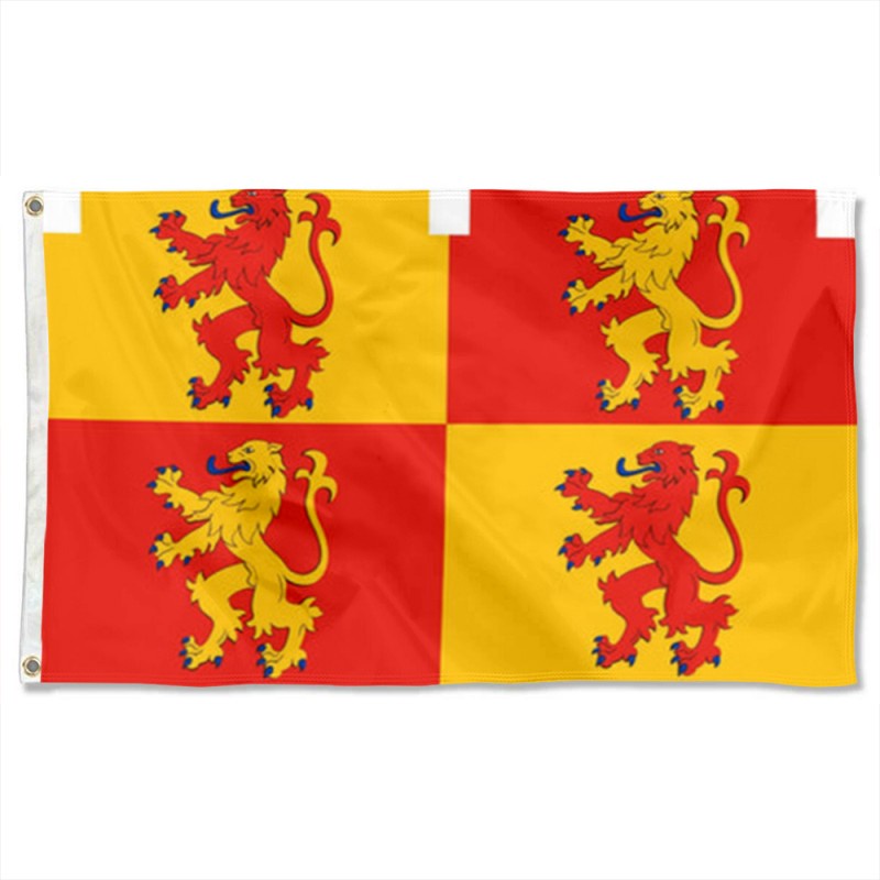 Sons of Glyndwr Flag Banner