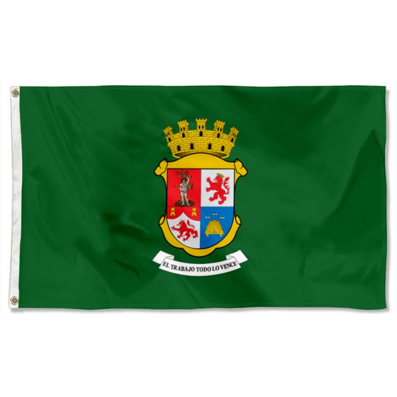 Bandera de León, Guanajuato, México Flag